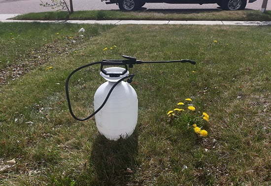 weed control service near me