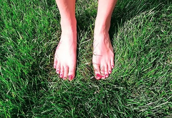 weed free lawn results CO Springs