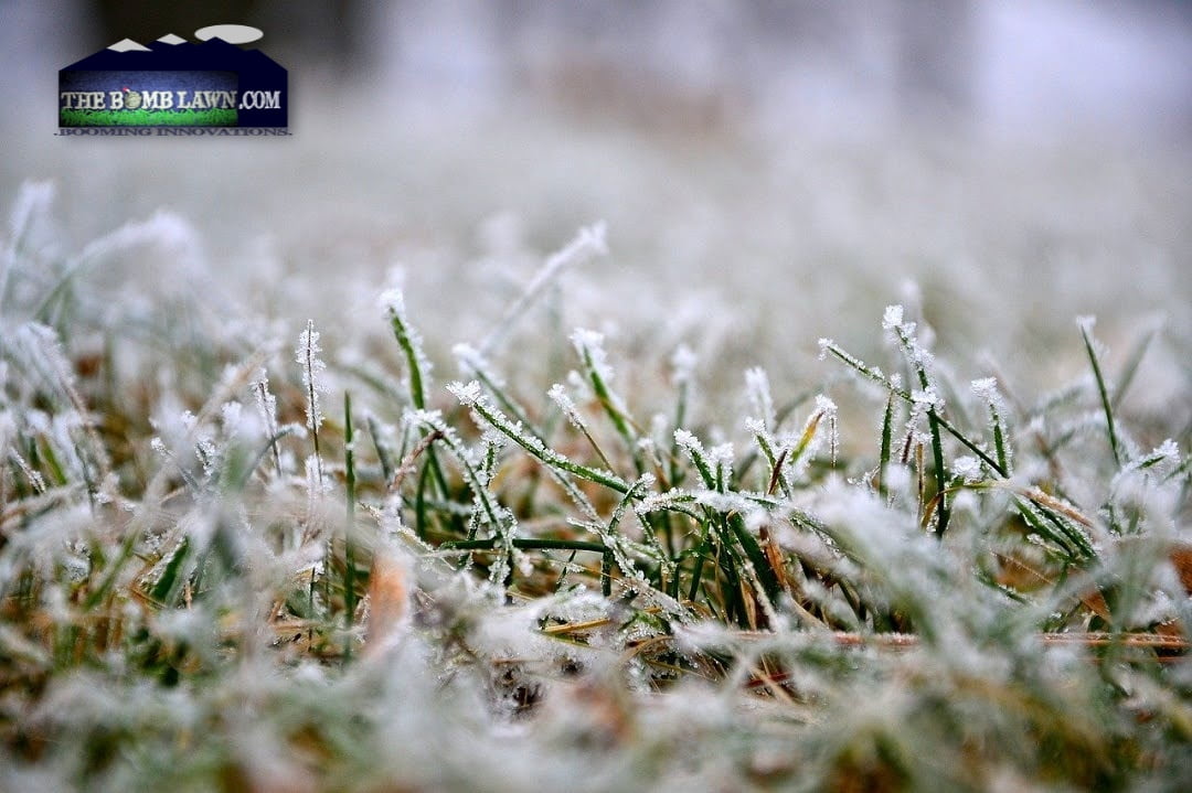 spring-lawn-restore-after-harsh-winter How To Restore Your Lawn After A Harsh Winter In The Spring