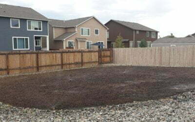 Sod vs Grass Seed: Which is Best for Your Colorado Springs Lawn?