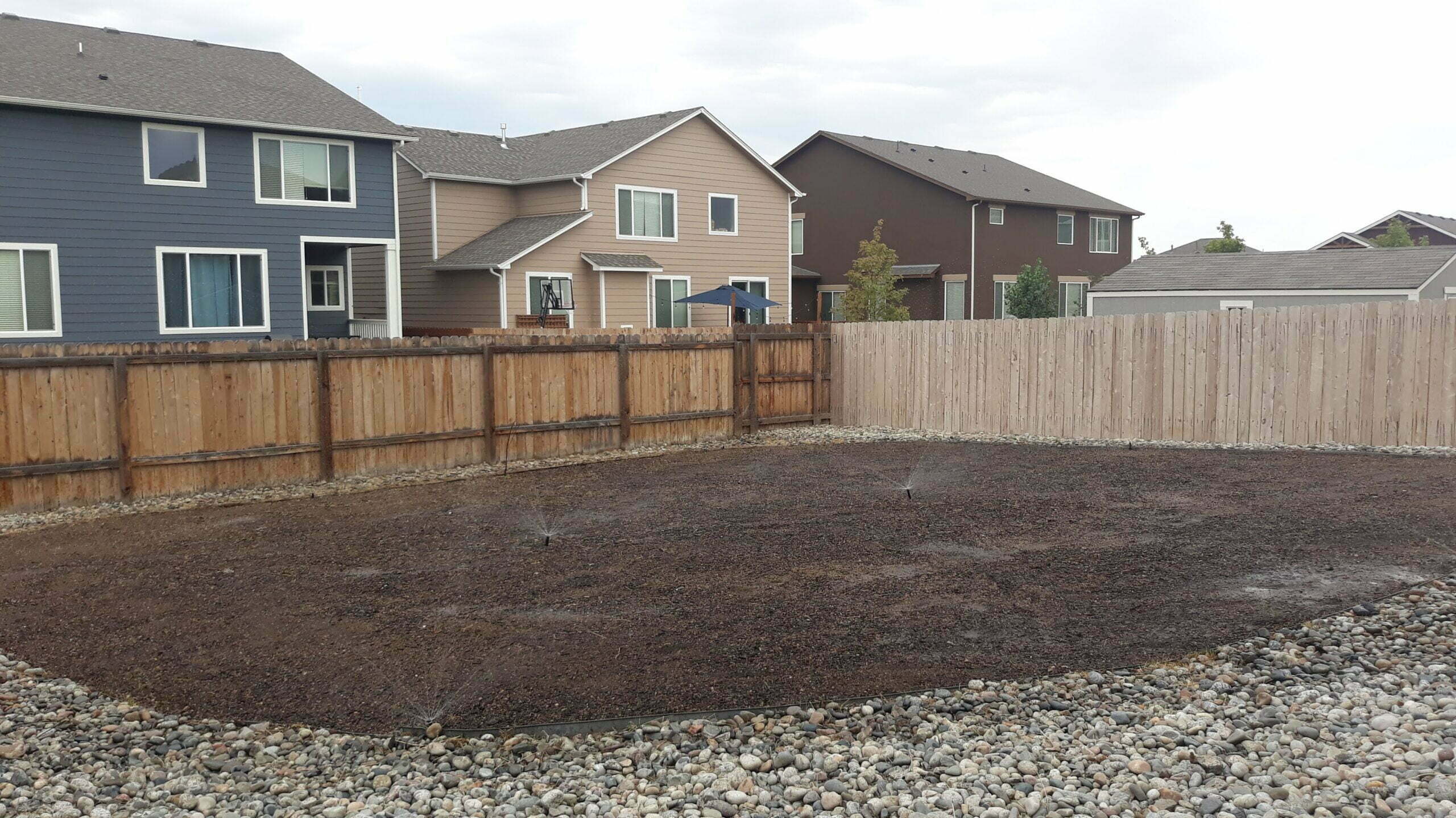 Sod vs Seed Sod vs Seed Installation Services